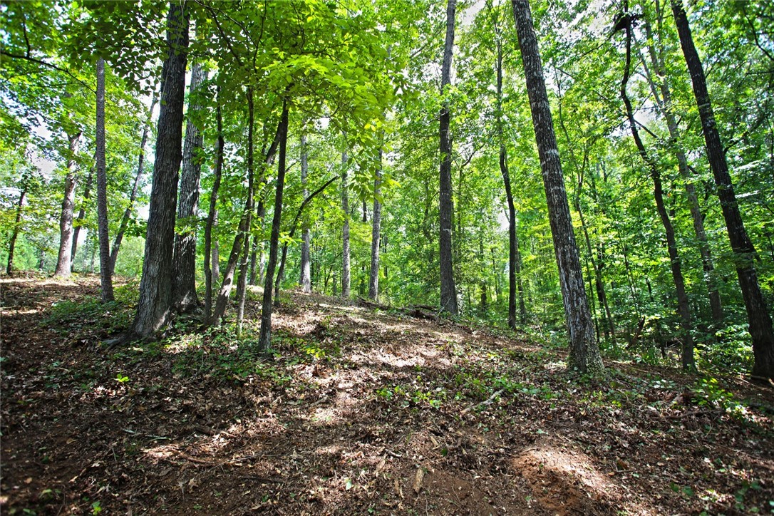Lot 30 Waterford Ridge Seneca, SC 29672 - Photo 17 of 36 Gallery Image 17