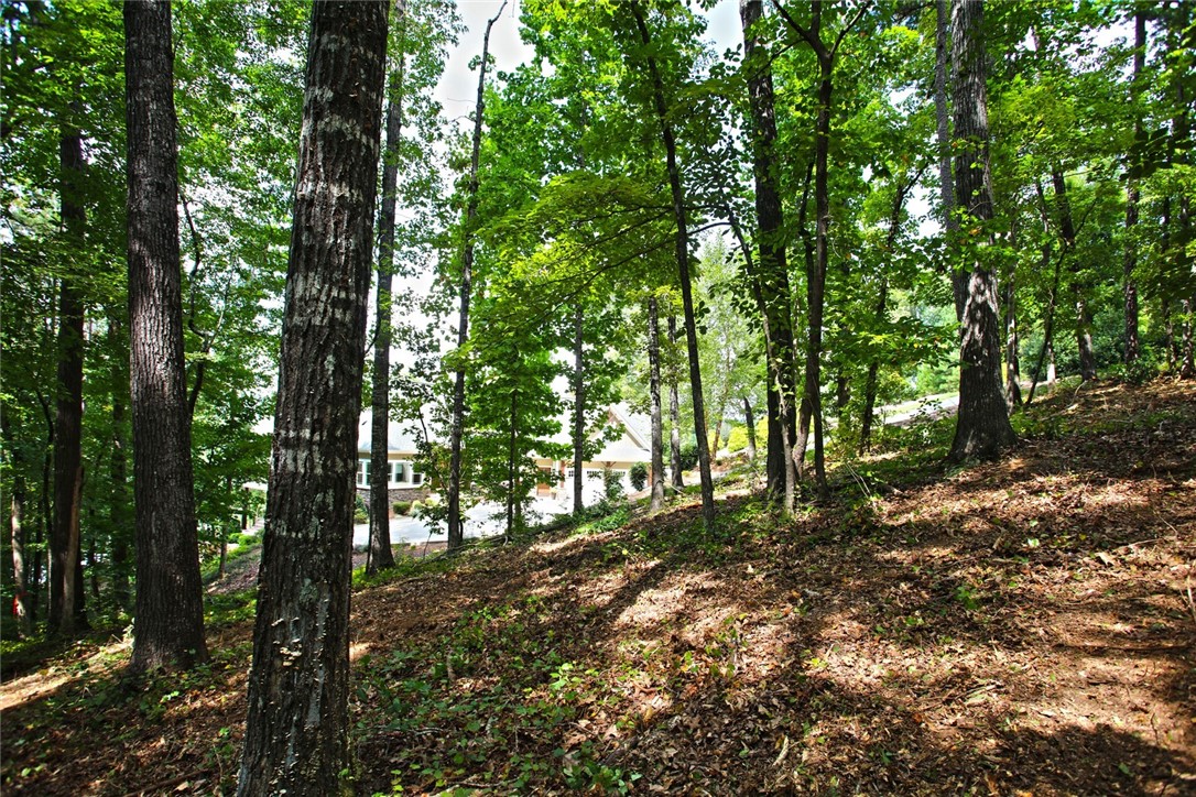 Lot 30 Waterford Ridge Seneca, SC 29672 - Photo 18 of 36 Gallery Image 18