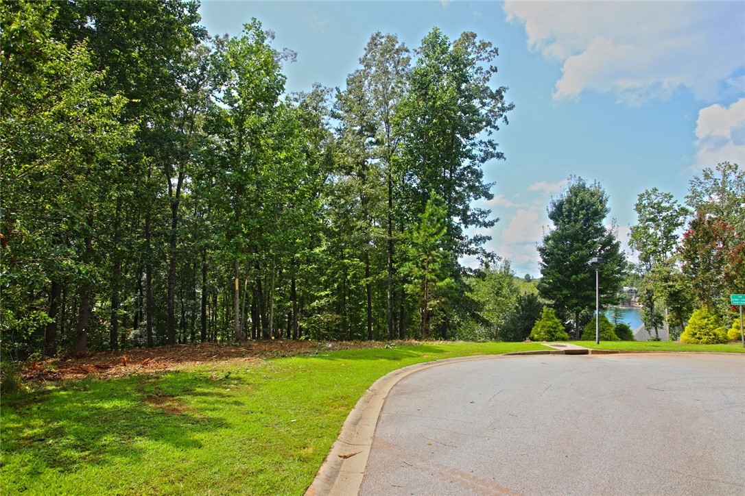 Lot 30 Waterford Ridge Seneca, SC 29672 - Photo 2 of 36 Gallery Image 2