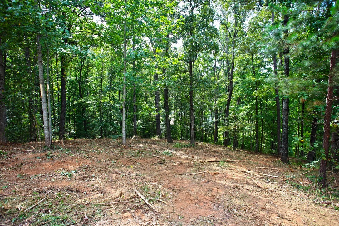 Lot 30 Waterford Ridge Seneca, SC 29672 - Photo 3 of 36 Gallery Image 3