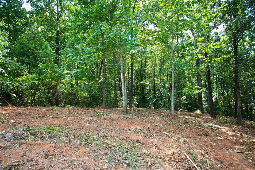 Lot 30 Waterford Ridge Seneca, SC 29672 - Photo 4 of 36 Gallery Image 4