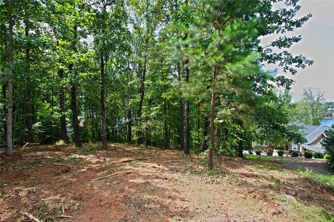 Lot 30 Waterford Ridge Seneca, SC 29672 - Photo 5 of 36 Gallery Image 5