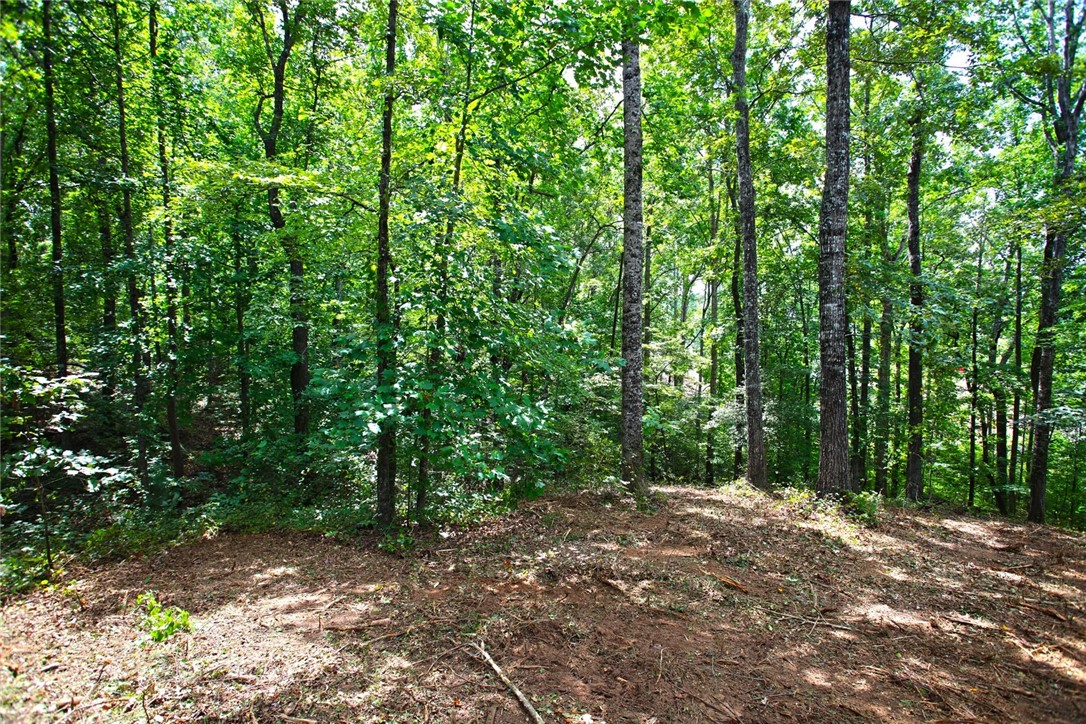 Lot 30 Waterford Ridge Seneca, SC 29672 - Photo 6 of 36 Gallery Image 6