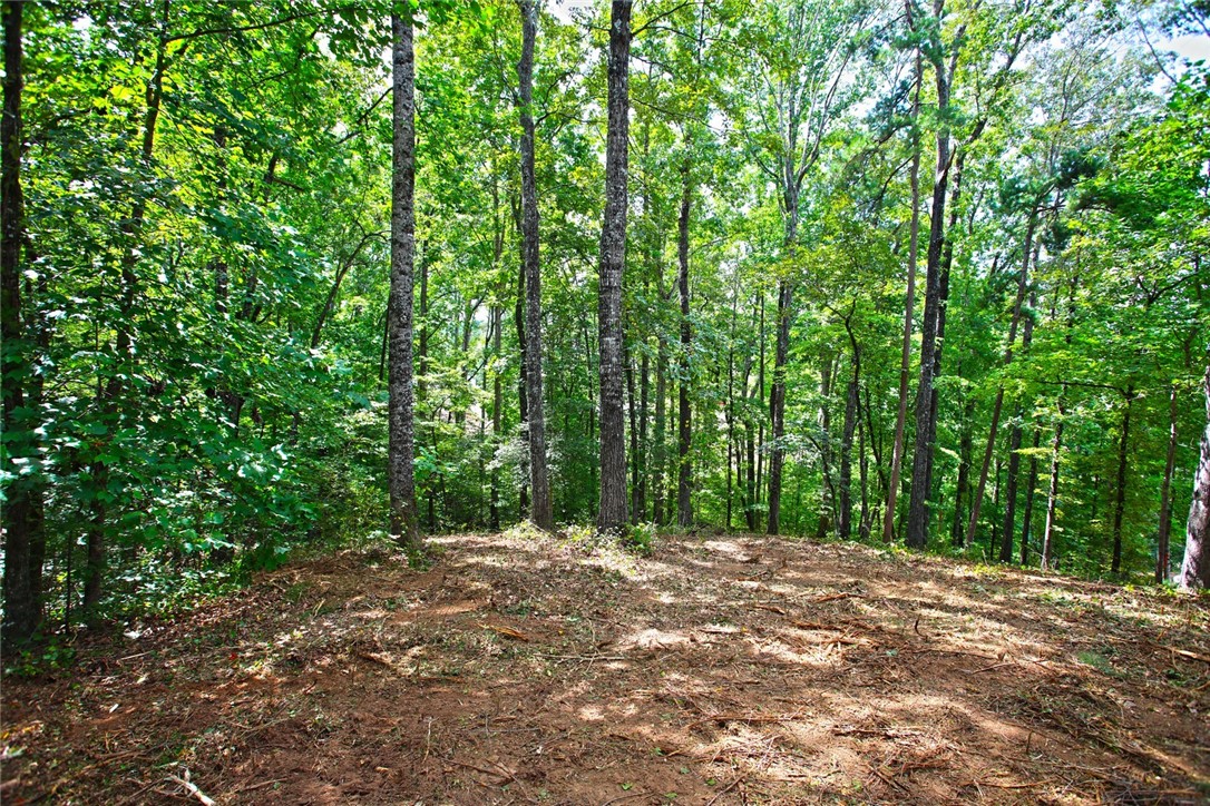 Lot 30 Waterford Ridge Seneca, SC 29672 - Photo 7 of 36 Gallery Image 7