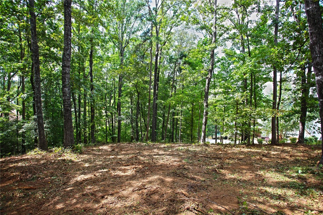 Lot 30 Waterford Ridge Seneca, SC 29672 - Photo 8 of 36 Gallery Image 8