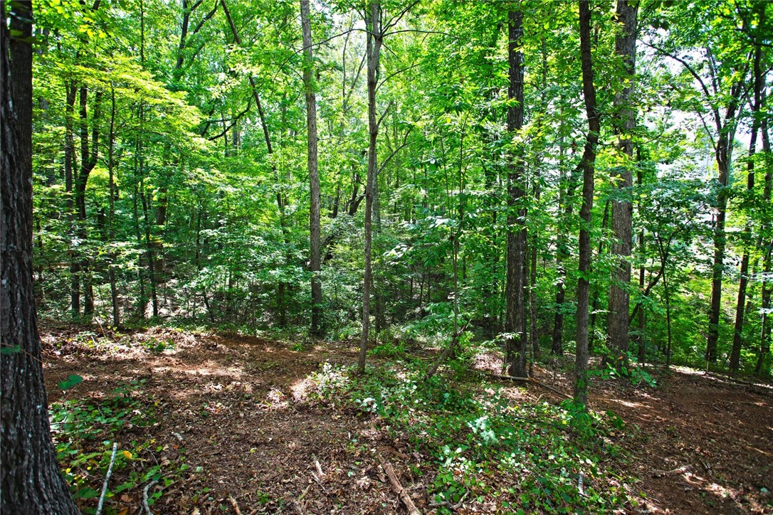 Lot 30 Waterford Ridge Seneca, SC 29672 - Photo 9 of 36 Gallery Image 9