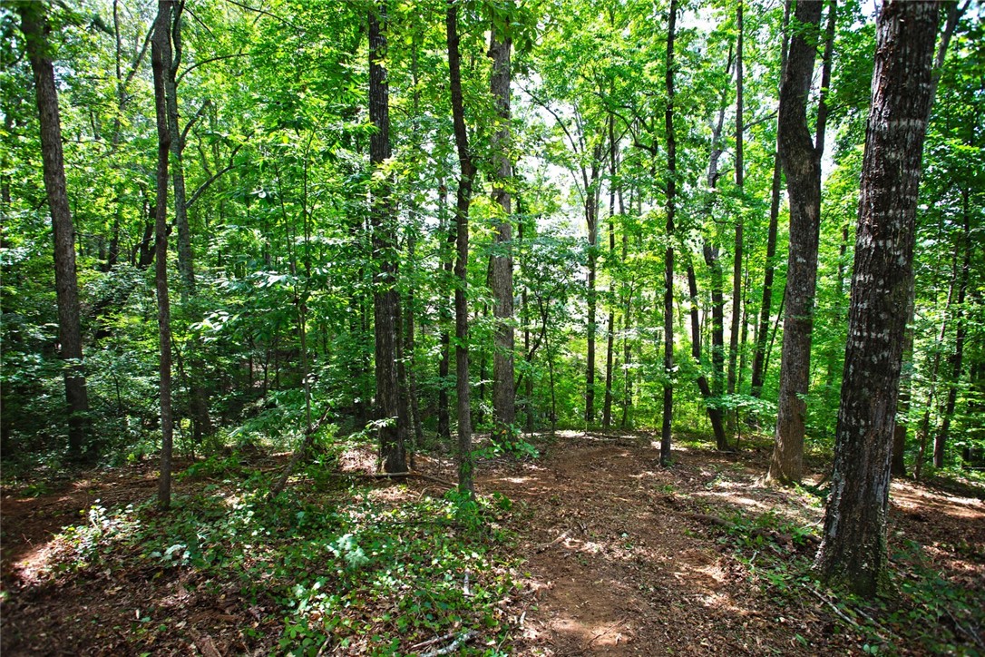 Lot 30 Waterford Ridge Seneca, SC 29672 - Photo 10 of 36 Gallery Image 10