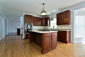 1715 Carman Ridge Court Ballwin, MO 63021 - Photo 19 of 47 Gallery Image 19