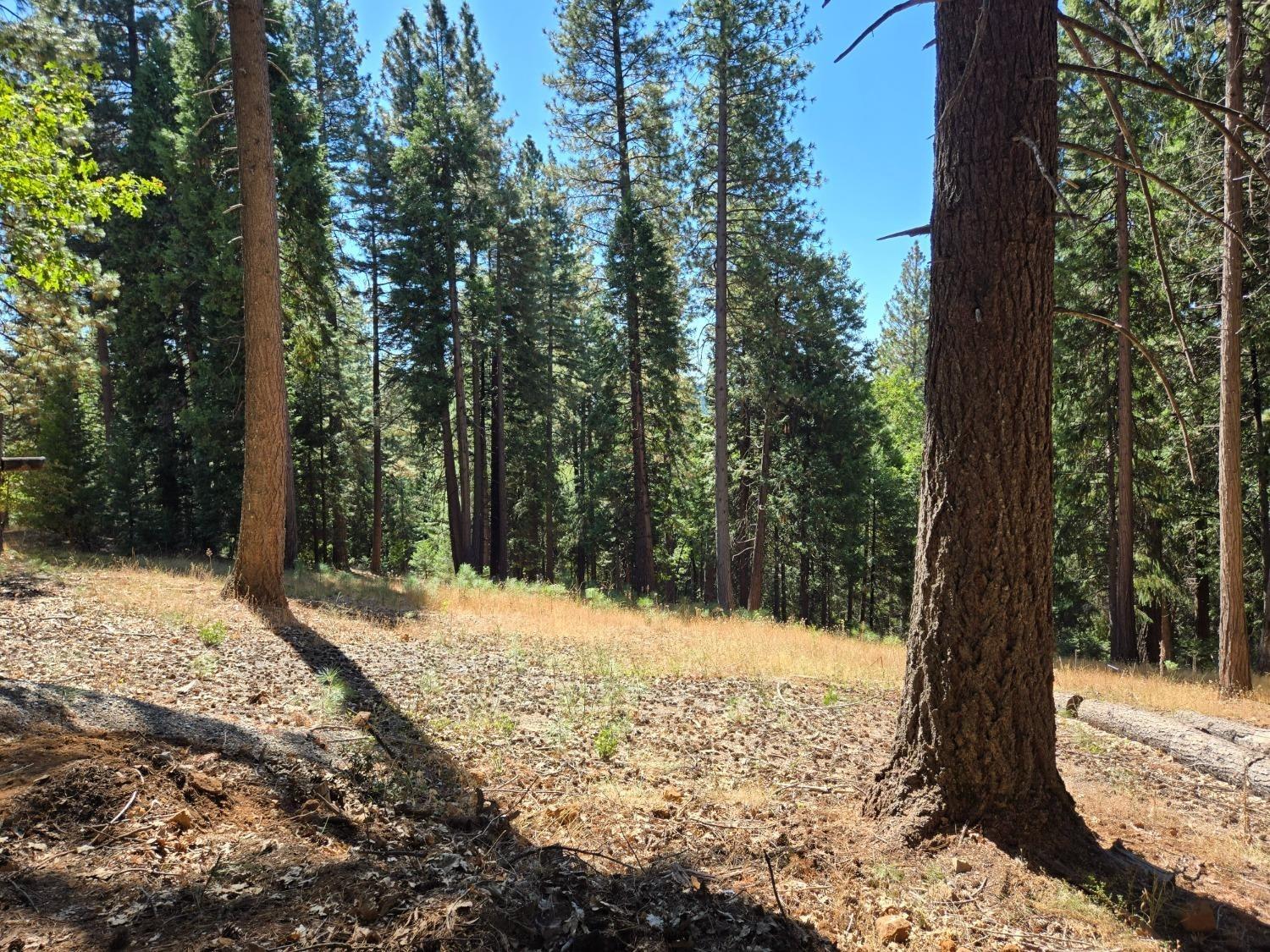 3224 York Court Pollock Pines, CA 95726 - Photo 12 of 14