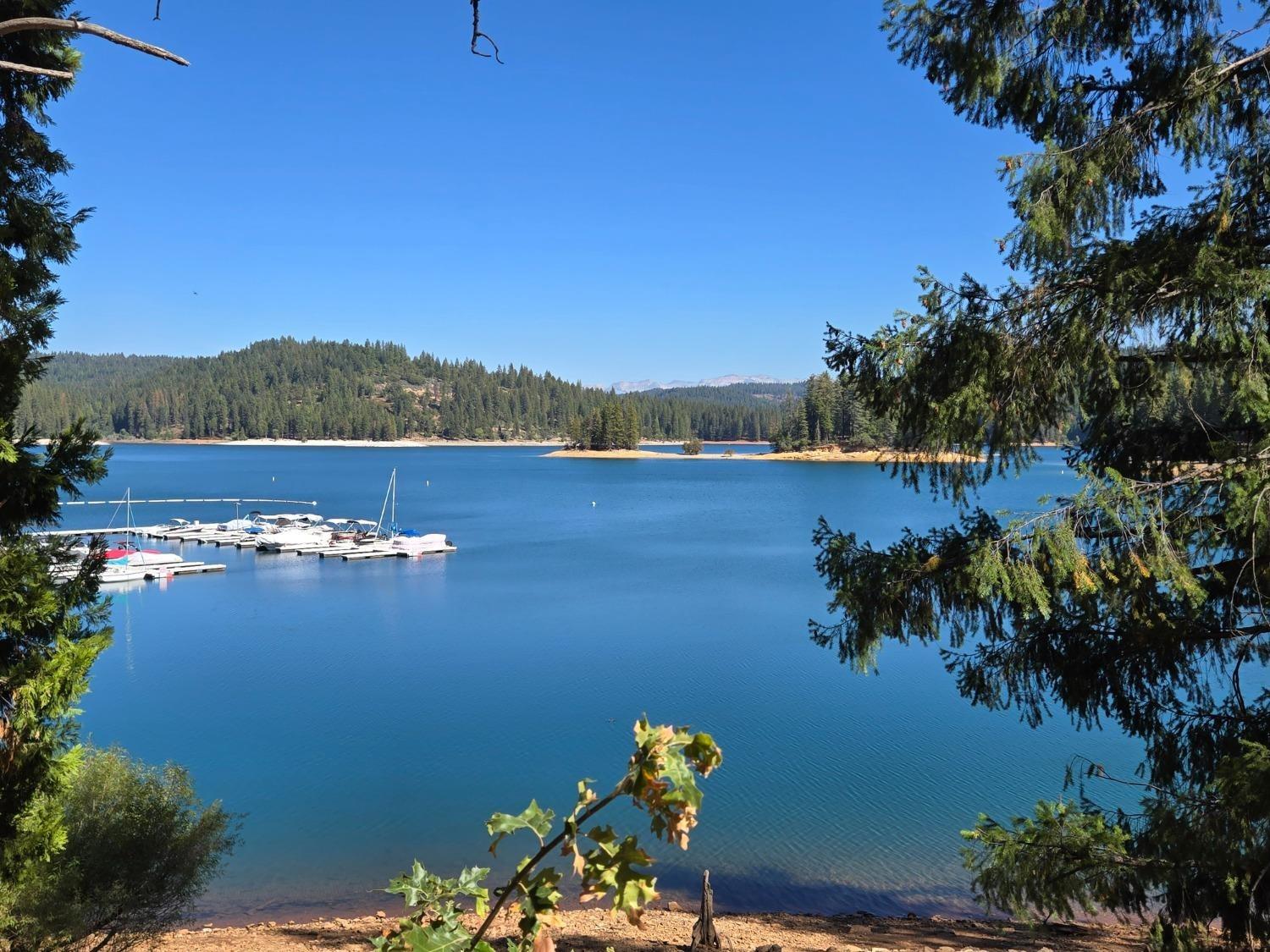 3224 York Court Pollock Pines, CA 95726 - Photo 14 of 14