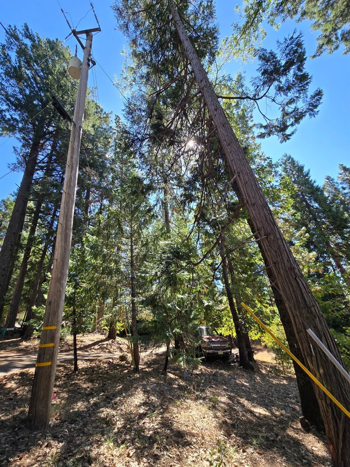 3224 York Court Pollock Pines, CA 95726 - Photo 3 of 14