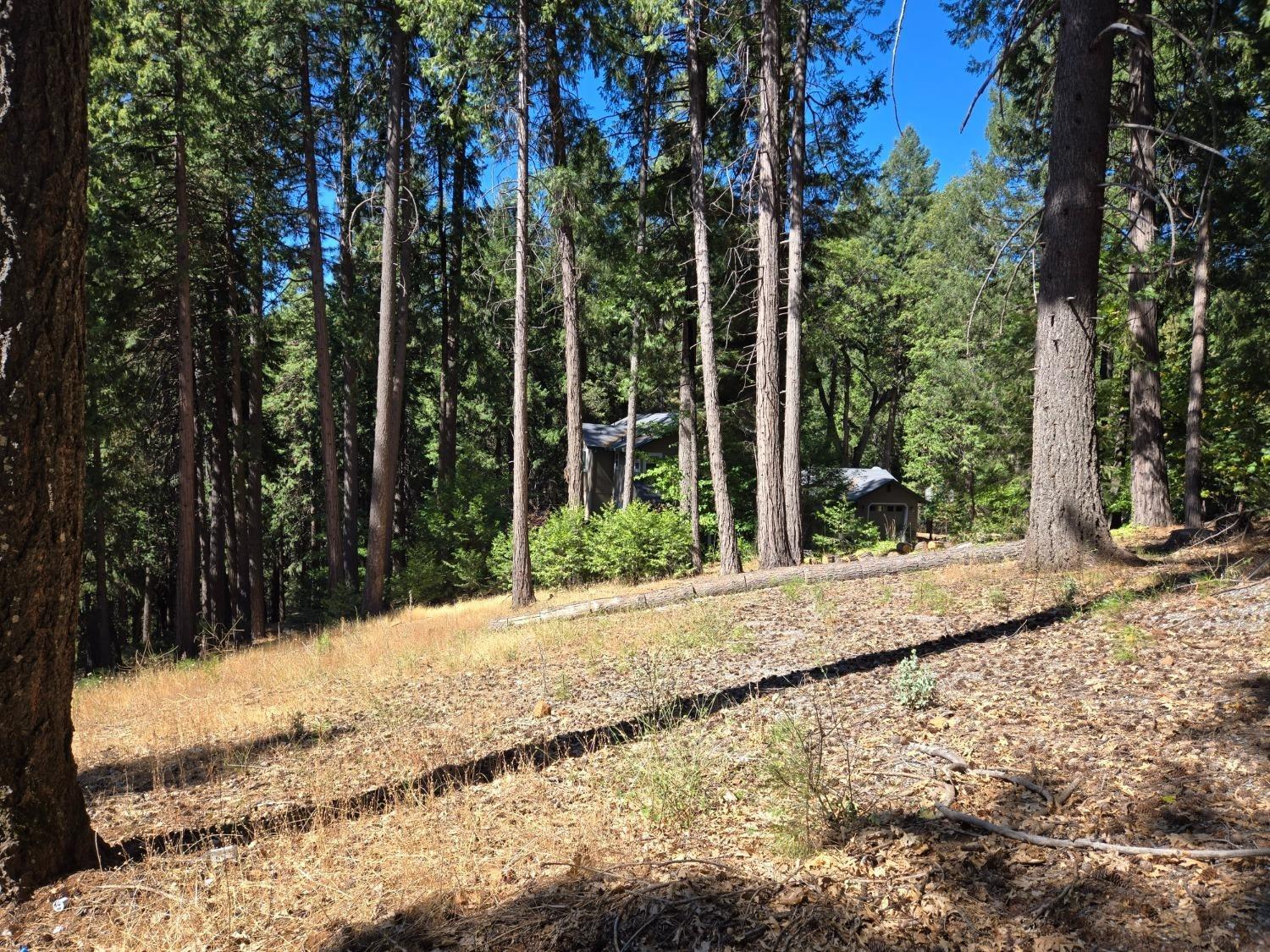 3224 York Court Pollock Pines, CA 95726 - Photo 5 of 14