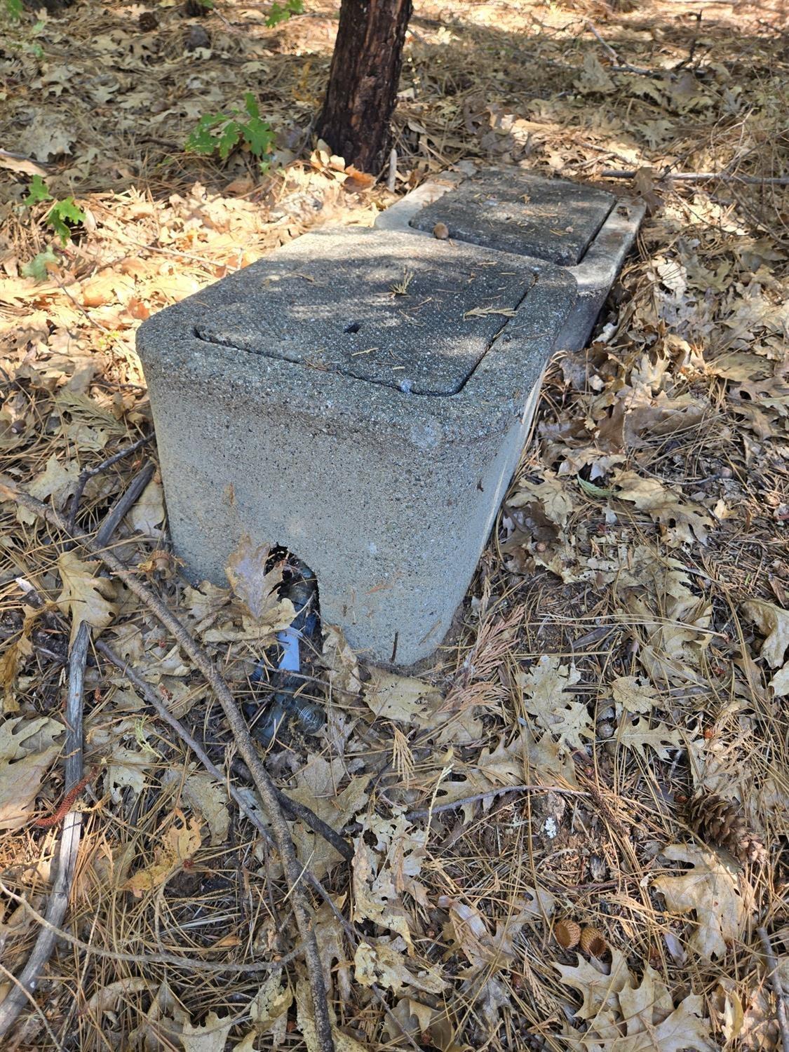 3224 York Court Pollock Pines, CA 95726 - Photo 6 of 14