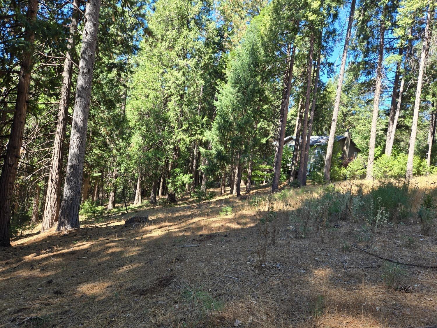 3224 York Court Pollock Pines, CA 95726 - Photo 8 of 14