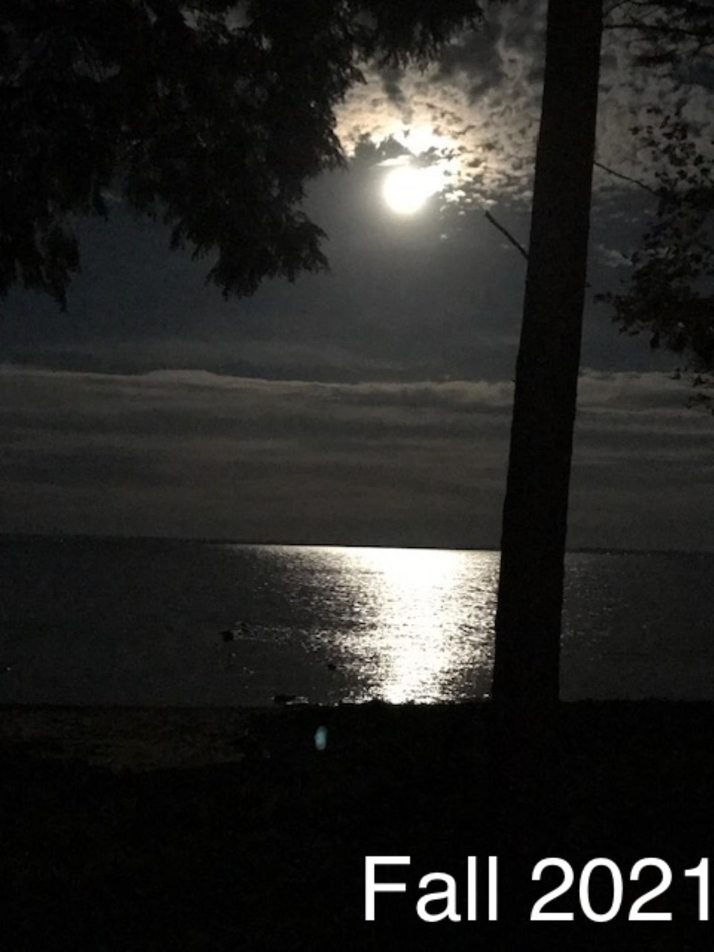 5088 Omena Point Road Omena, MI 49674 - Photo 54 of 58 1934984-347ebc5c-7f69-42e6-84ef-e9559b250860.JPG
