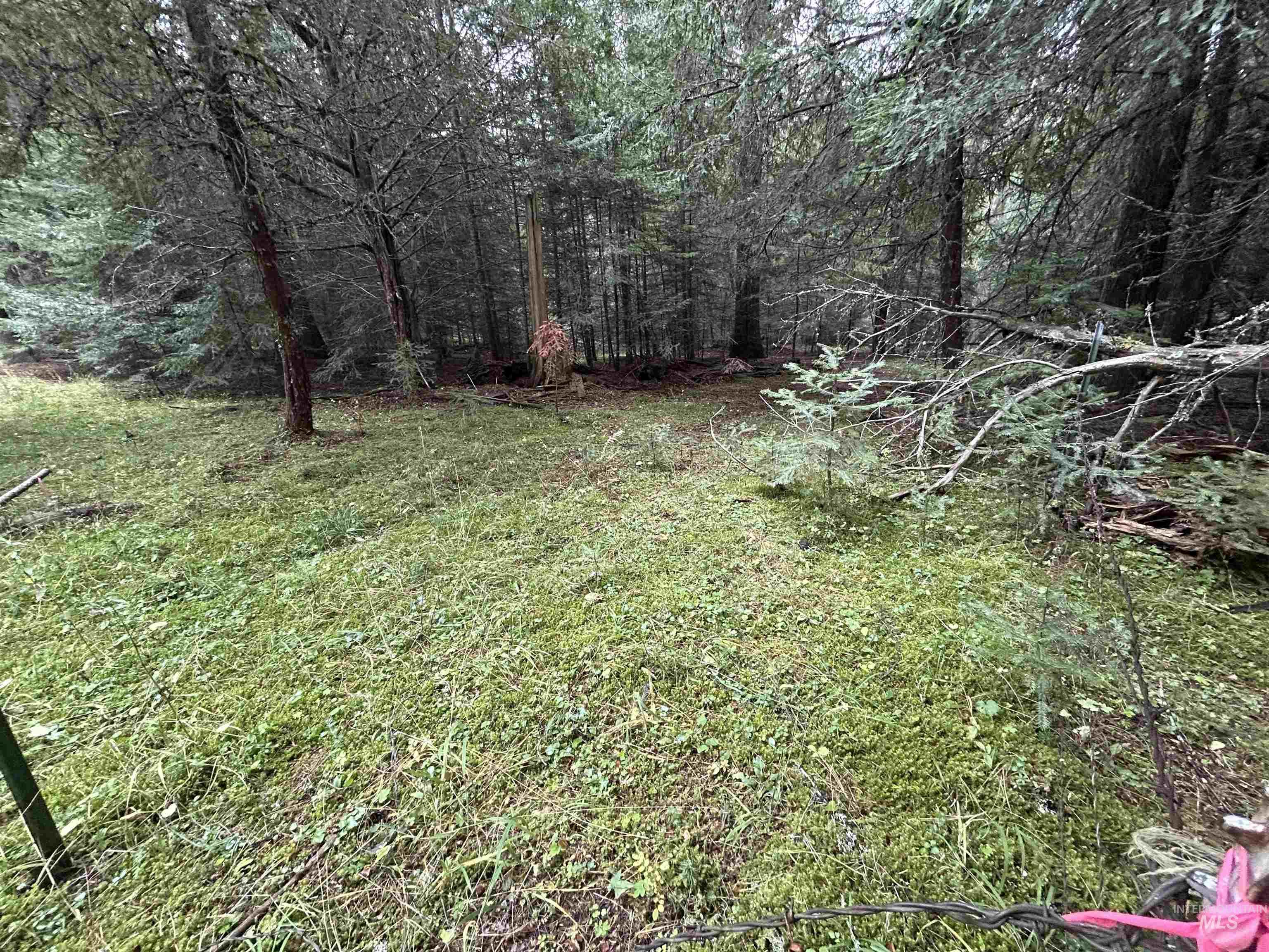 Tbd Lot 1 Tbd Road Kamiah, ID 83536 - Photo 9 of 16