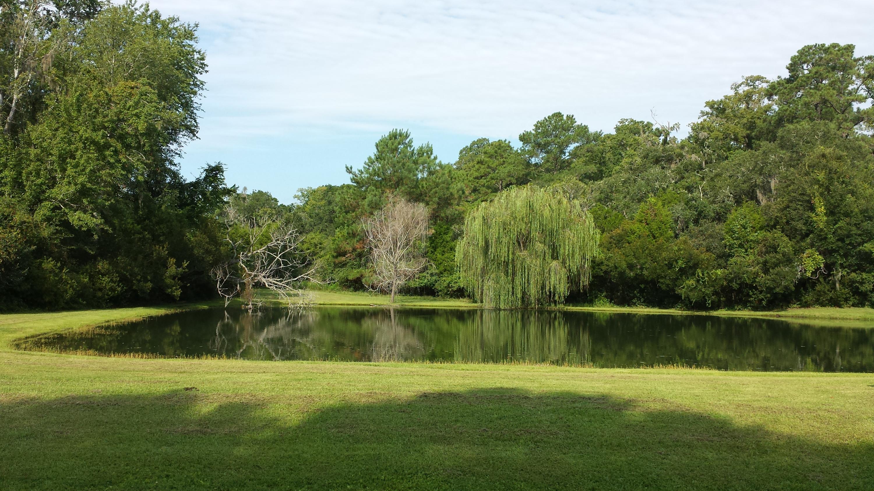 8480 Chisolm Plantation Road Edisto Island, SC 29438 - Photo 12 of 22 20150820_094359