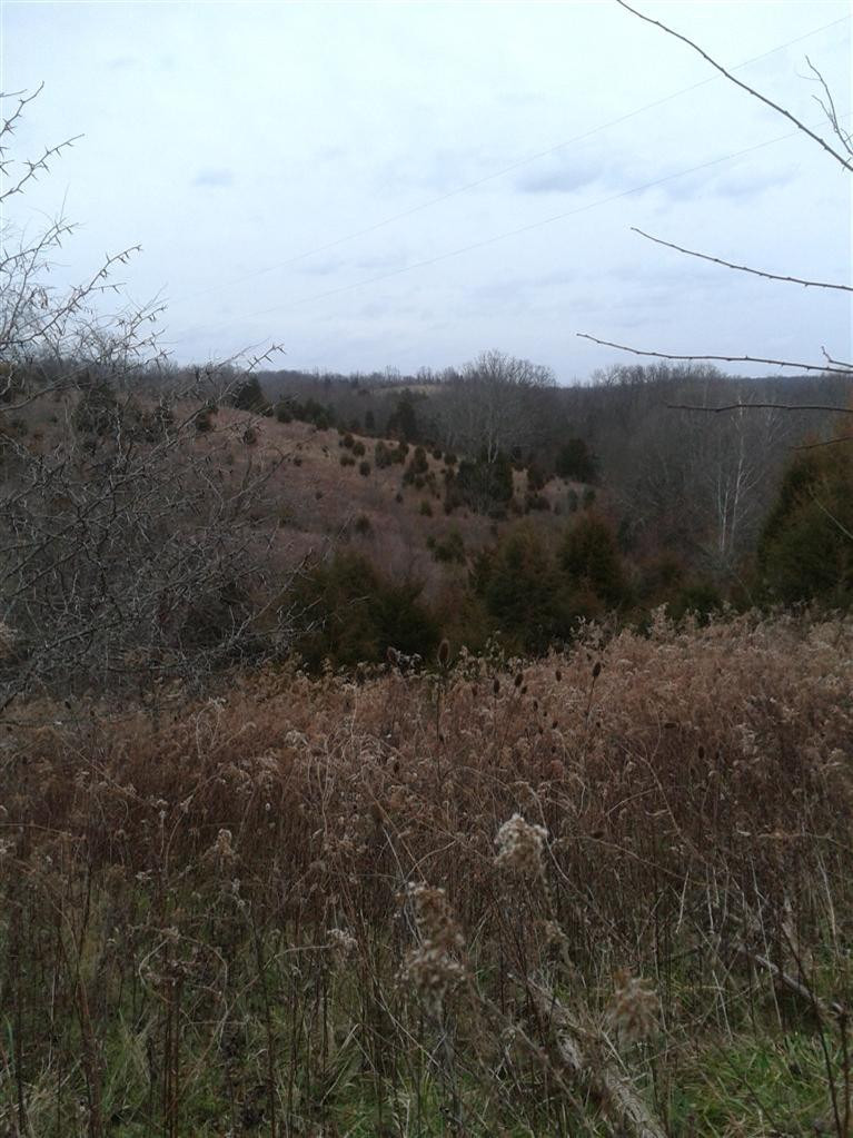 62 Owenton Road Stamping Ground, KY 40379 - Photo 4 of 19 This is another view from the ridge.