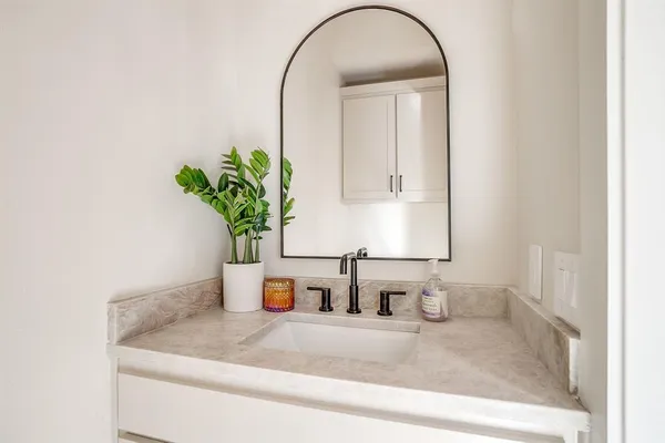 a bathroom with a potted plant and a sink