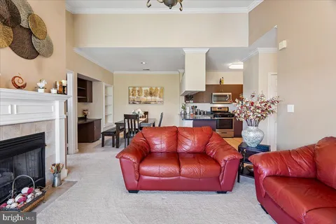 a living room with furniture flower pot and a fireplace