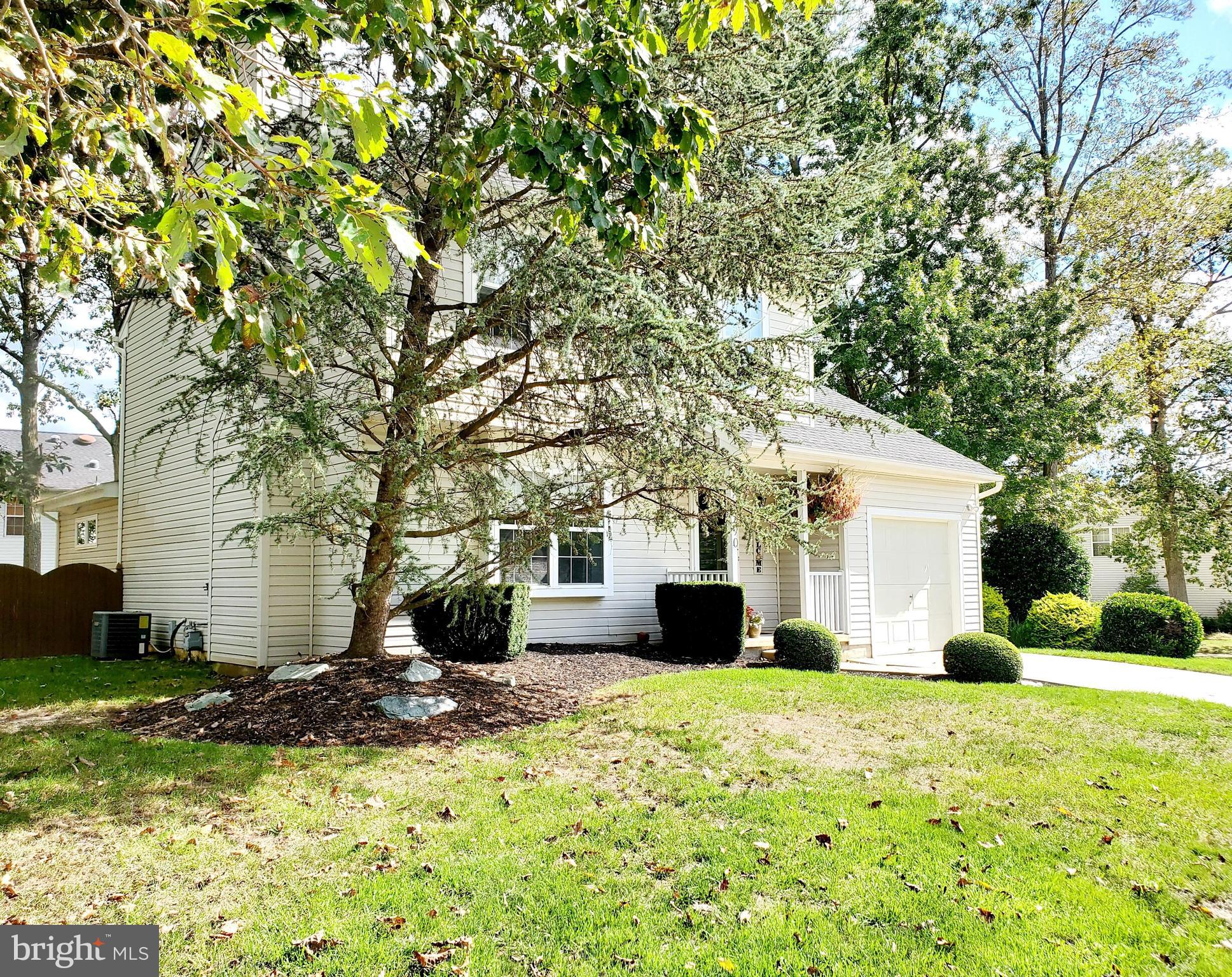 290 Front Street Atco, NJ 08004 - Photo 3 of 24 Gallery Image 3