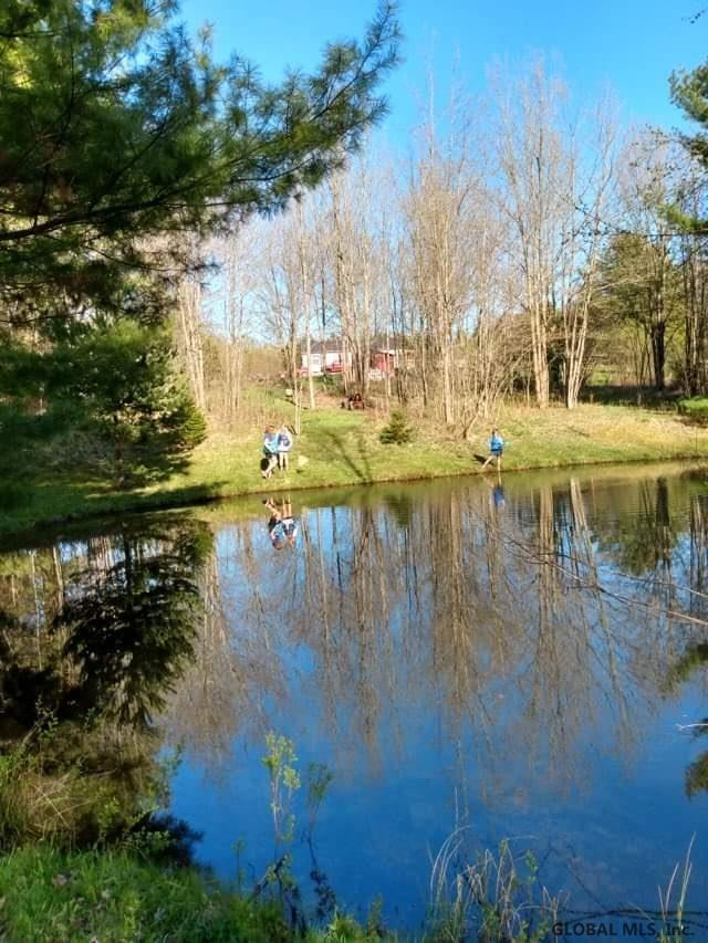 172 Nichols Road Jefferson, NY 12093 - Photo 2 of 28 Photo 2