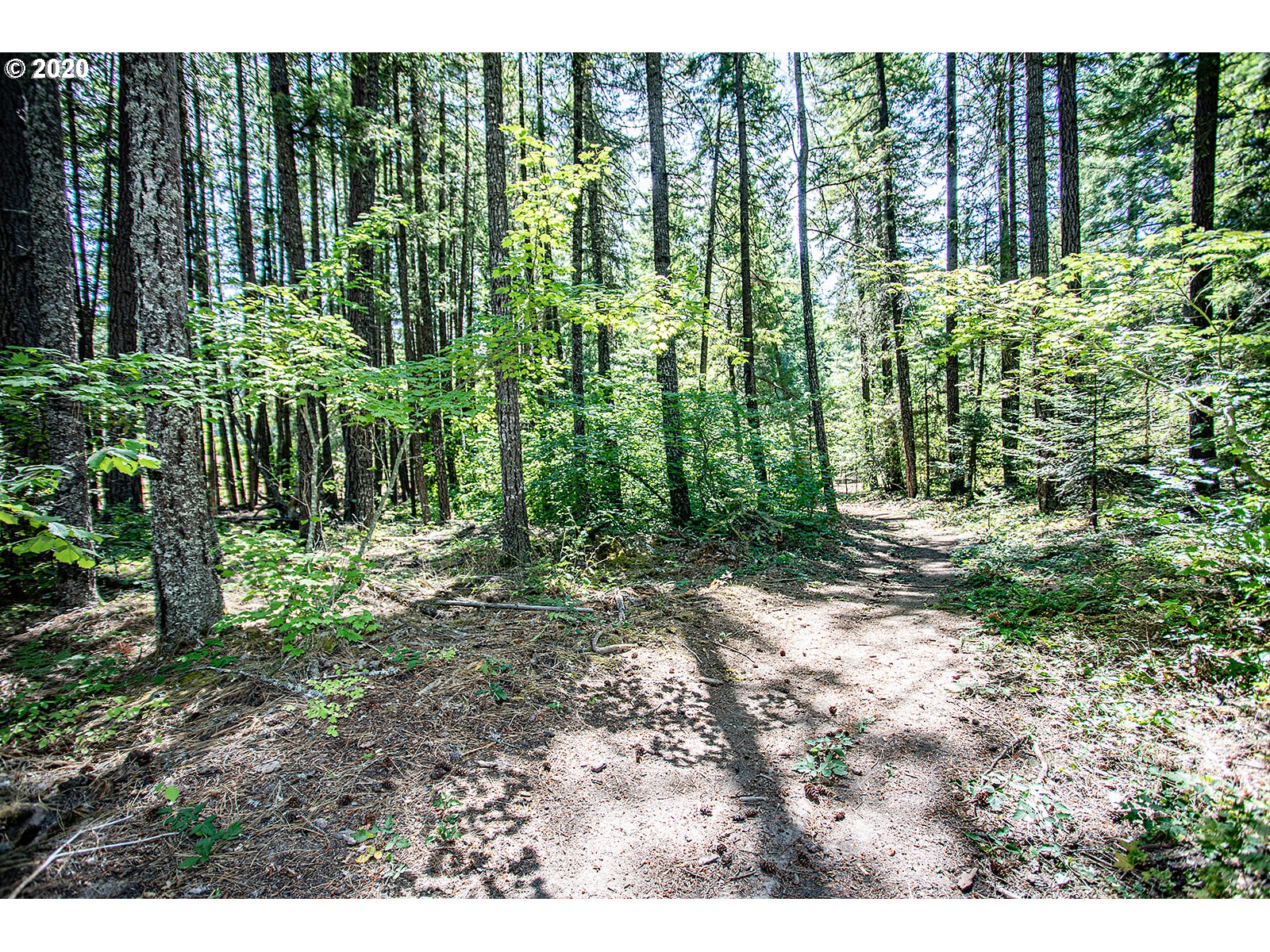 151 Lyons Road White Salmon, WA 98672 - Photo 27 of 32 Gallery Image 27