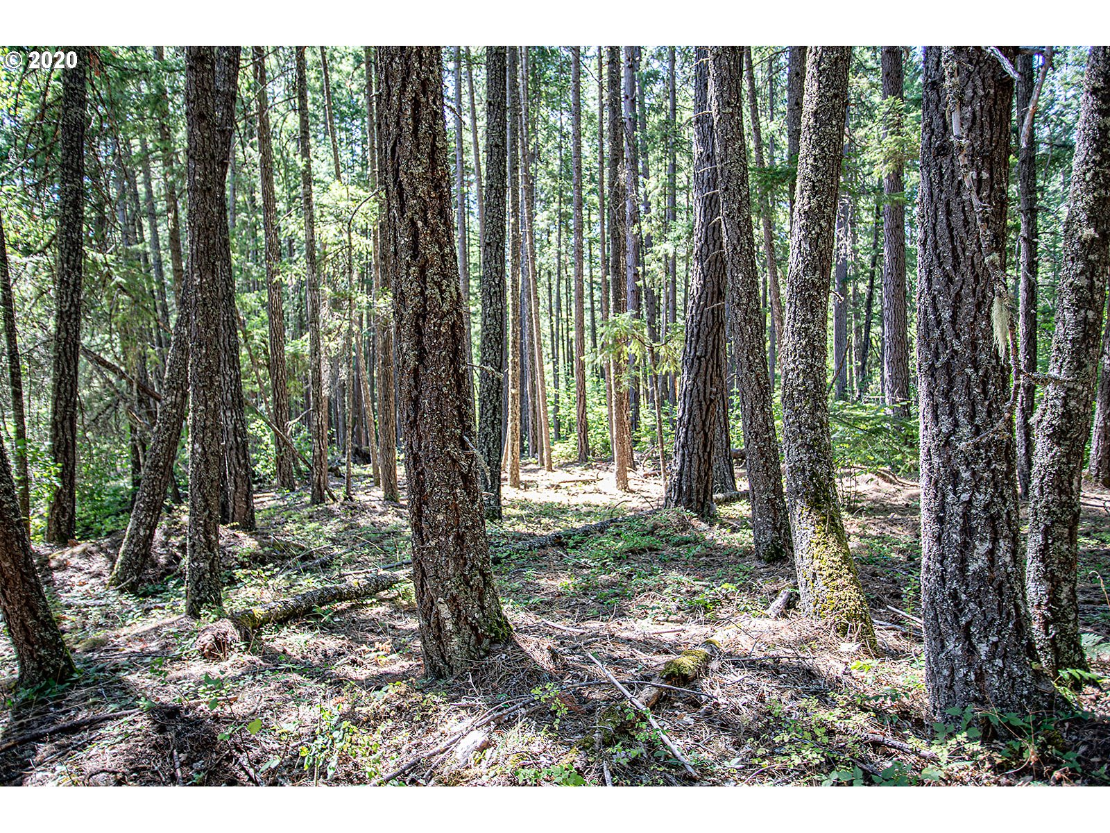 151 Lyons Road White Salmon, WA 98672 - Photo 28 of 32 Gallery Image 28