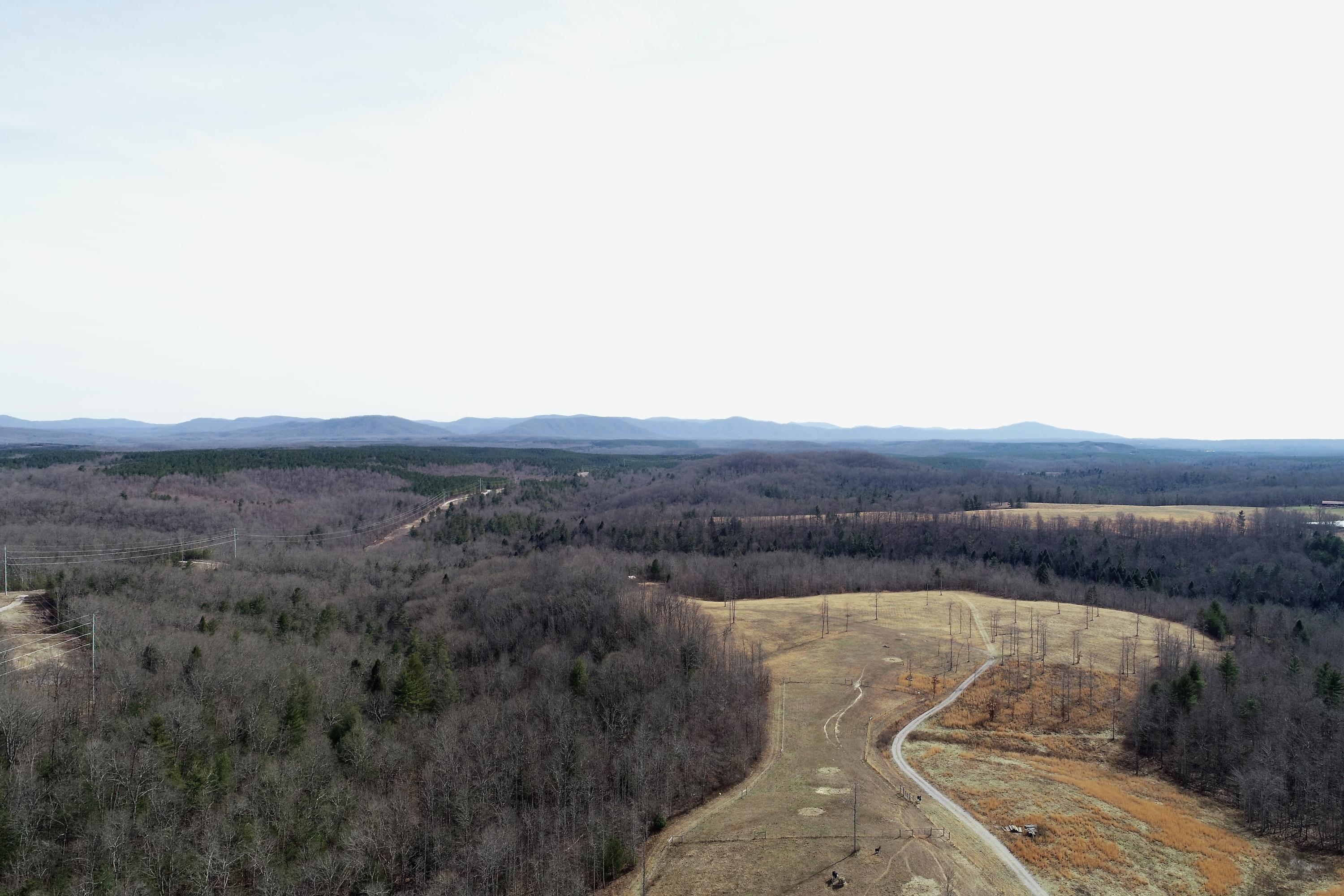 104 Zac Road Sunbright, TN 37872 - Photo 24 of 40 DJI_0013