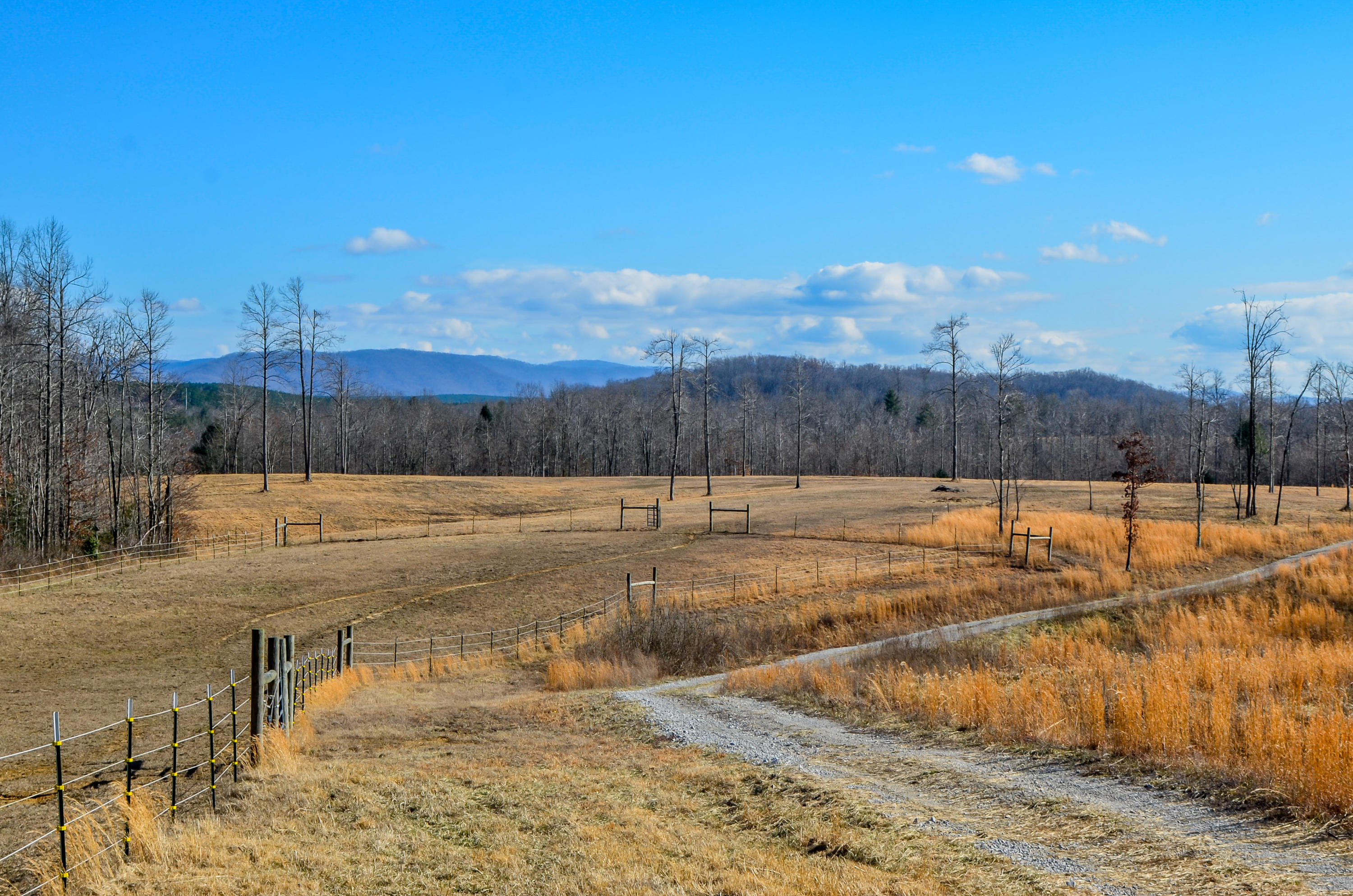 104 Zac Road Sunbright, TN 37872 - Photo 25 of 40 104 Zac Rd, Sunbright, TN 37872