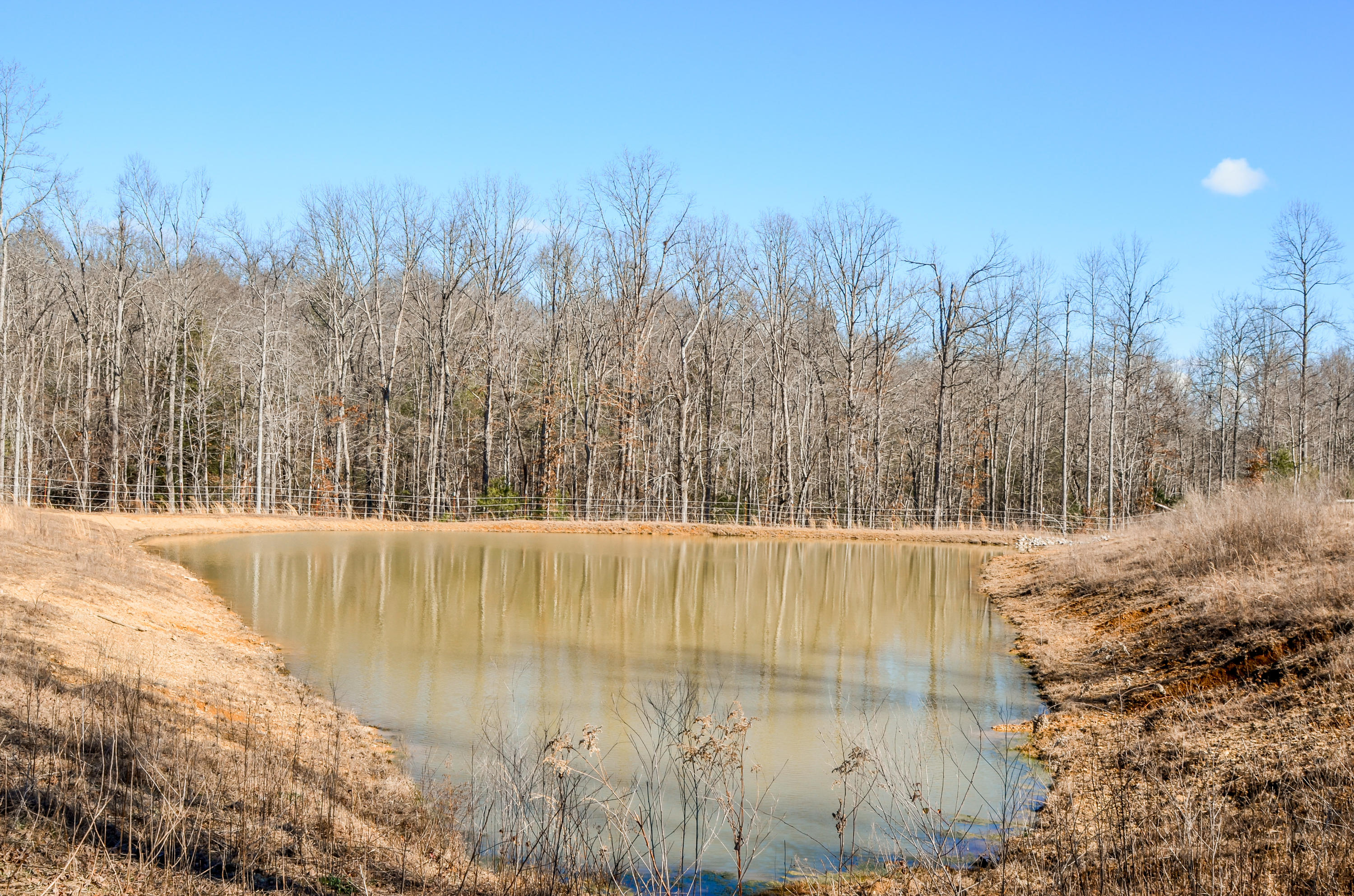 104 Zac Road Sunbright, TN 37872 - Photo 26 of 40 104 Zac Rd, Sunbright, TN 37872