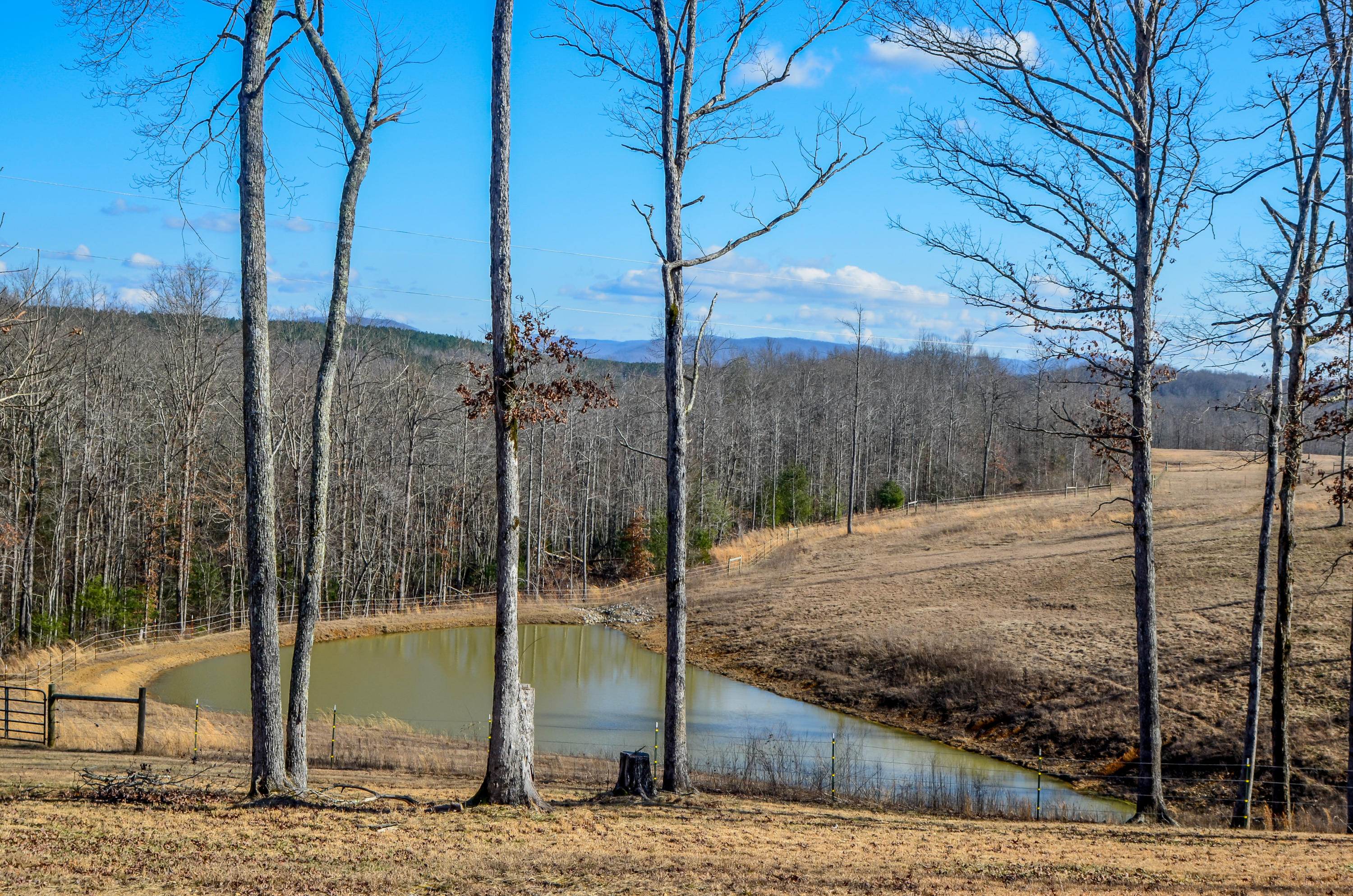 104 Zac Road Sunbright, TN 37872 - Photo 27 of 40 104 Zac Rd, Sunbright, TN 37872