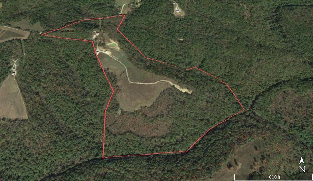 104 Zac Road Sunbright, TN 37872 - Photo 40 of 40 104 Zac Rd Aerial