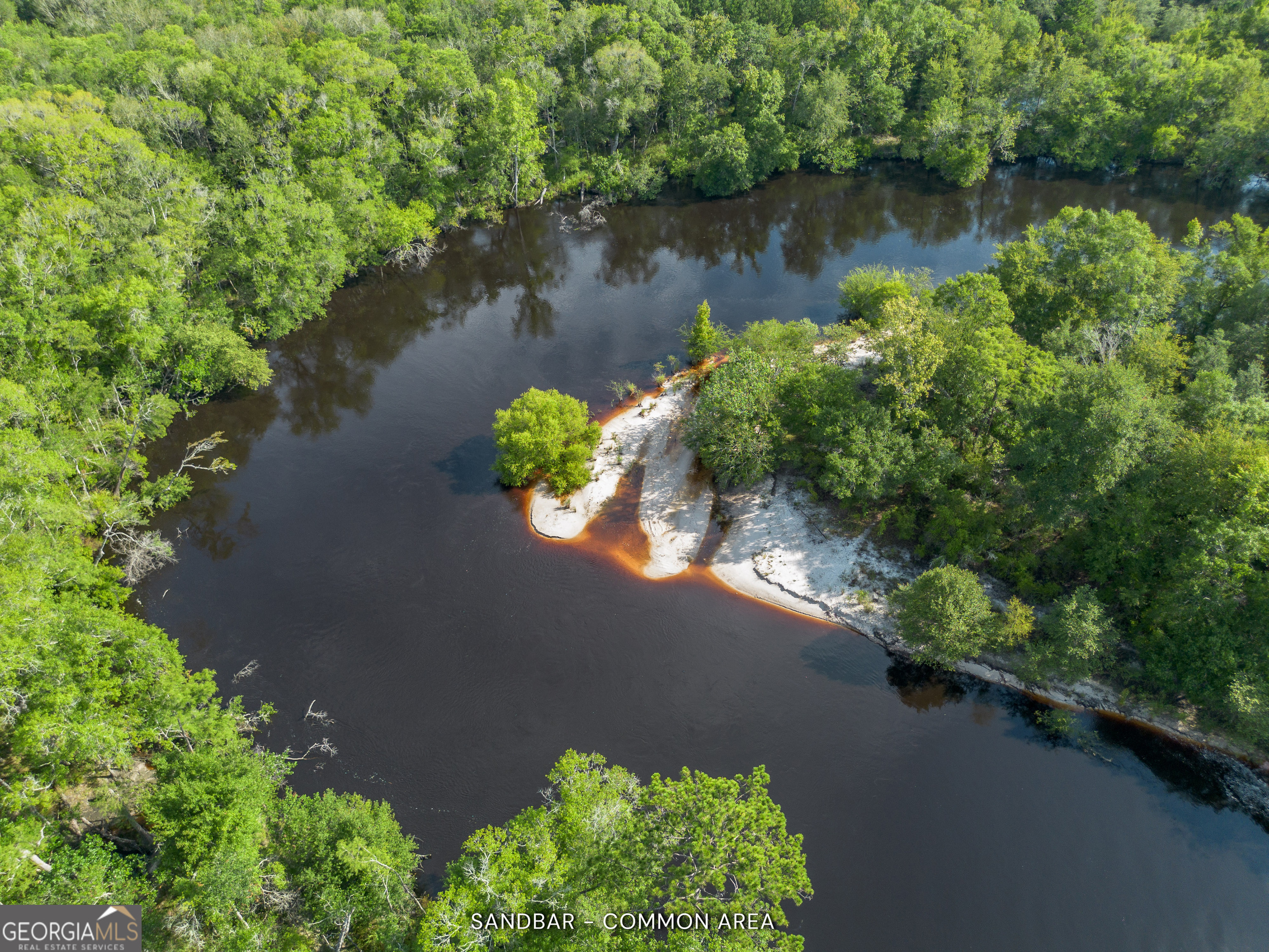 1360 Douglas Fish Camp Road White Oak, GA 31568 - Photo 2 of 49