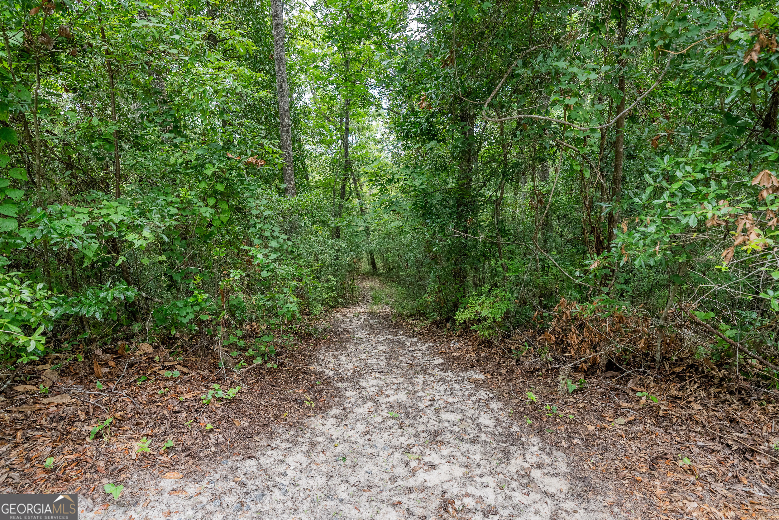 1360 Douglas Fish Camp Road White Oak, GA 31568 - Photo 26 of 49