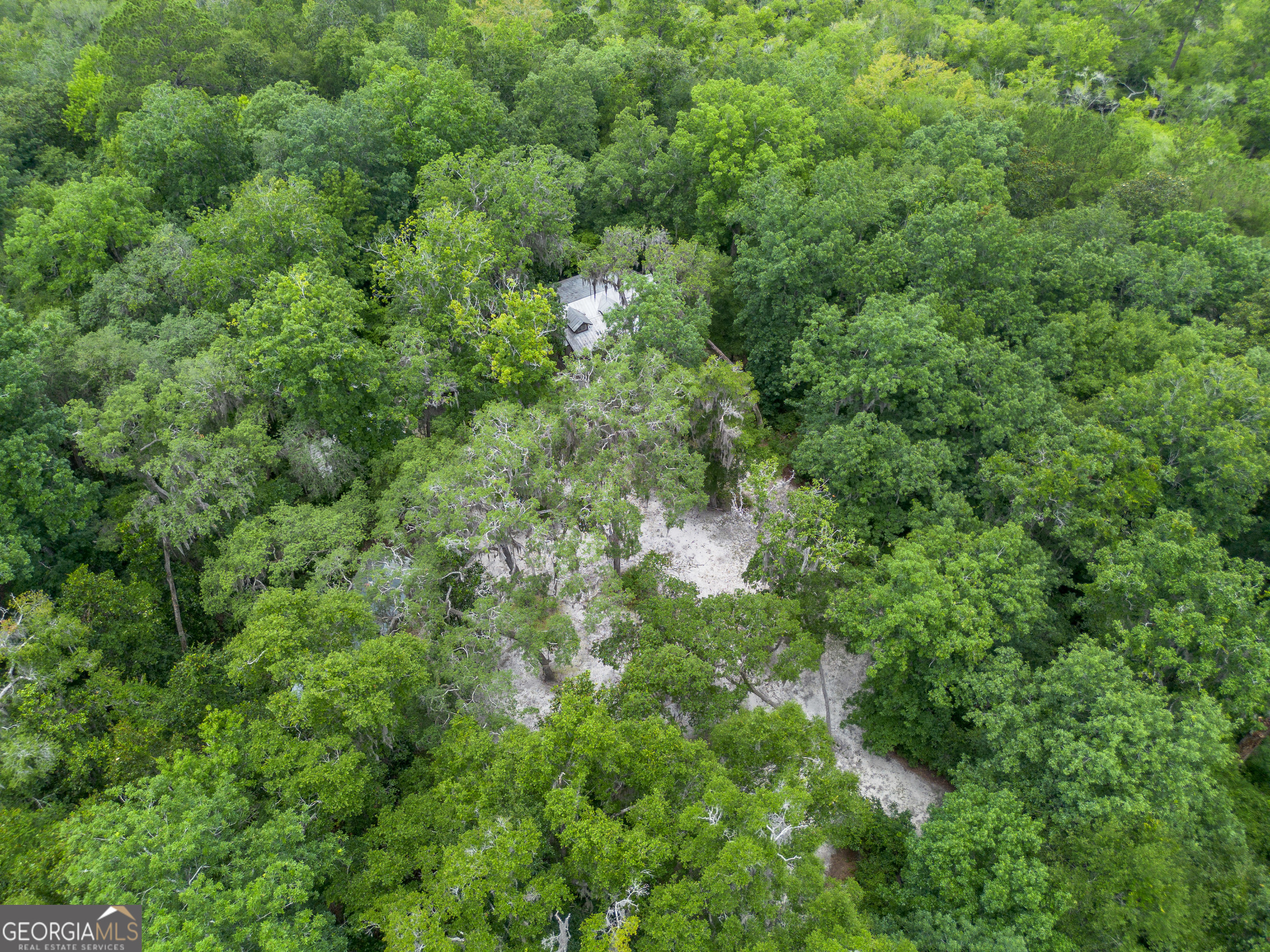 1360 Douglas Fish Camp Road White Oak, GA 31568 - Photo 7 of 49