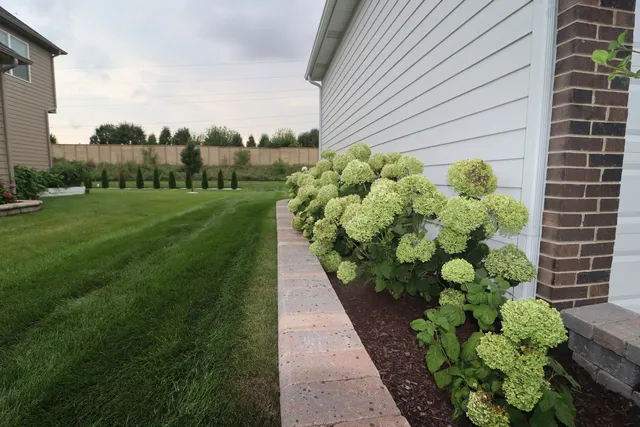 $975,000 | 4215 Chinaberry Lane, Naperville, IL 60564