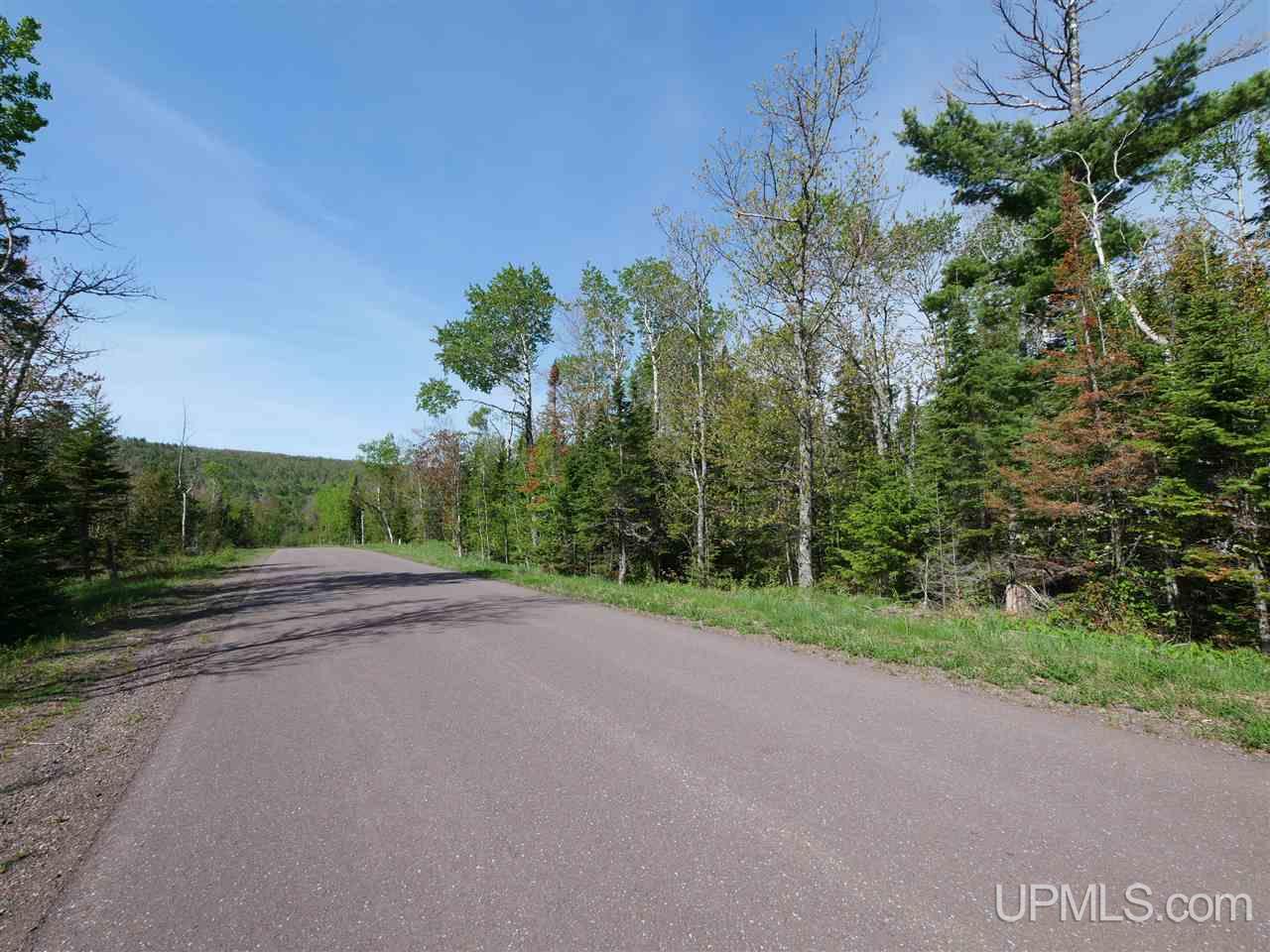 44 North Coast Road Copper Harbor, MI 49918 - Photo 9 of 10