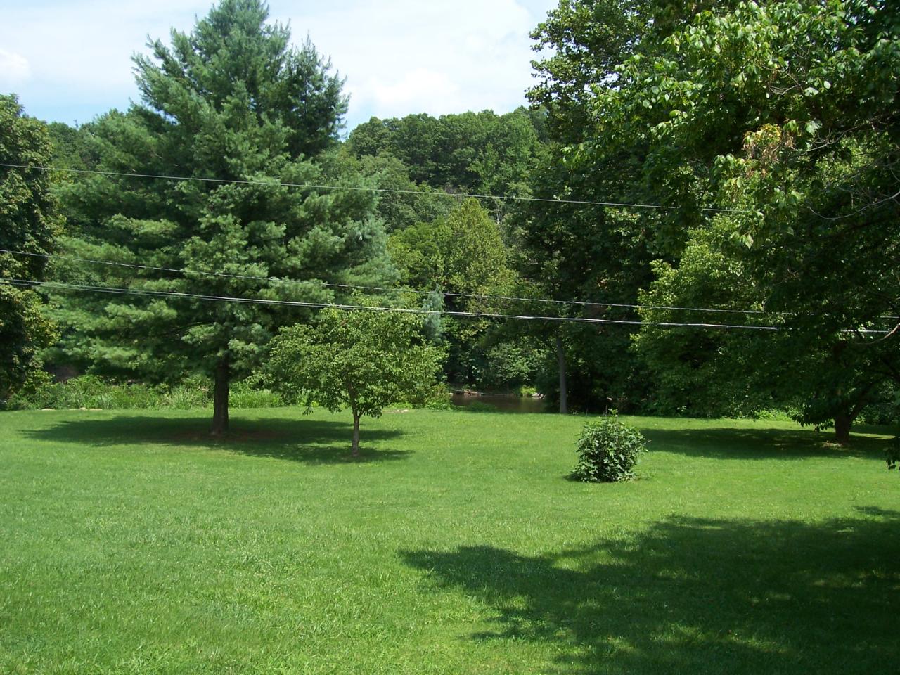 428 Winding Way Road Covington, VA 24426 - Photo 9 of 12 Back Yard