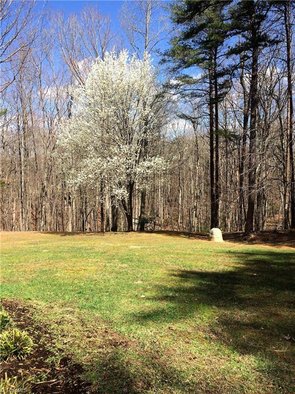 1020 Archbrook Trails Road Walnut Cove, NC 27052 - Photo 22 of 29 Front Yard
