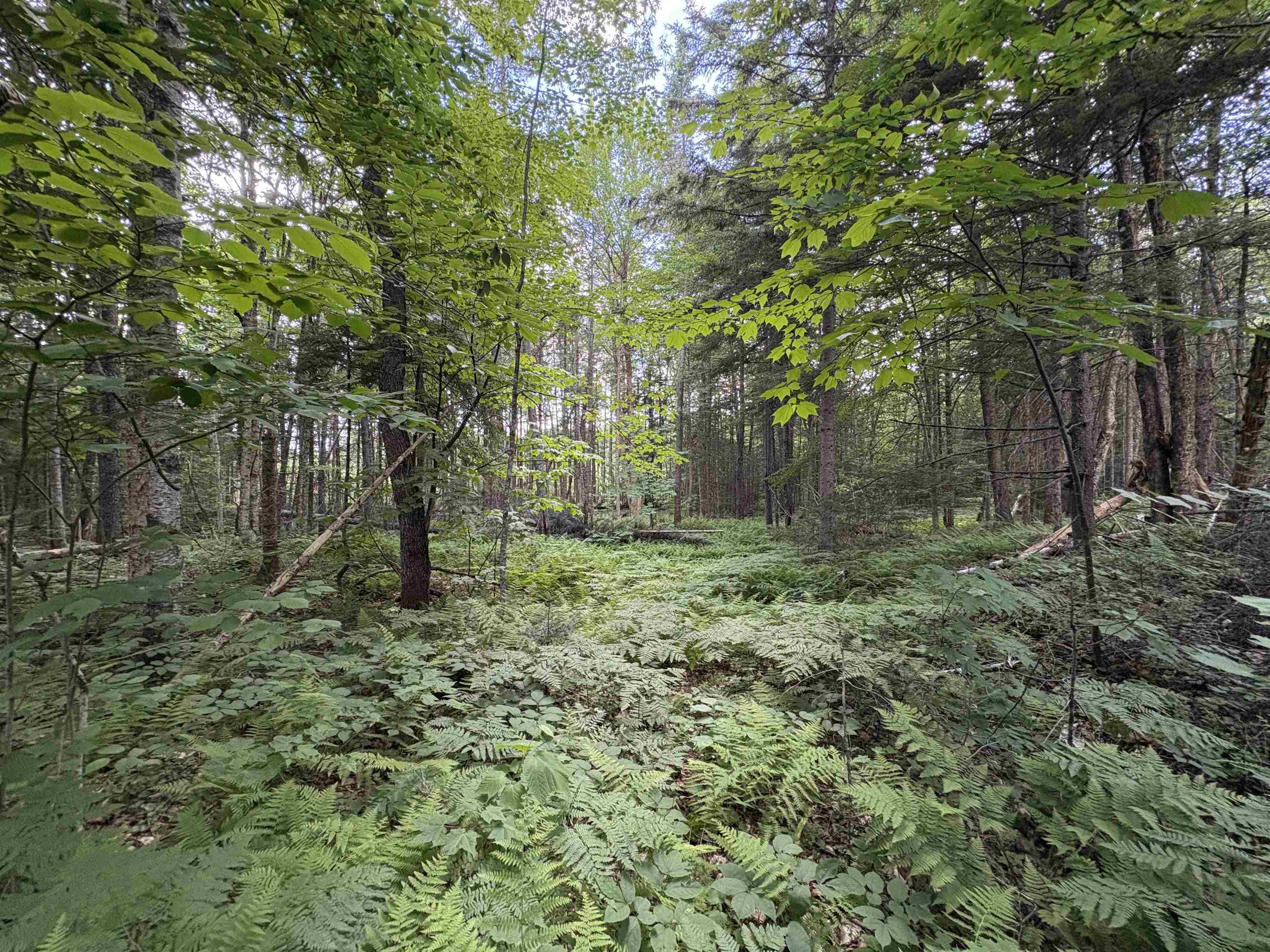 208 Drake Pl Road Sheffield, VT 05866 - Photo 43 of 43
