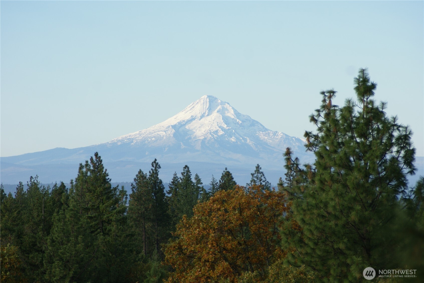 8 Ginger Way Goldendale, WA 98620 - Photo 11 of 15 a view of a dry yard with lots of bushes