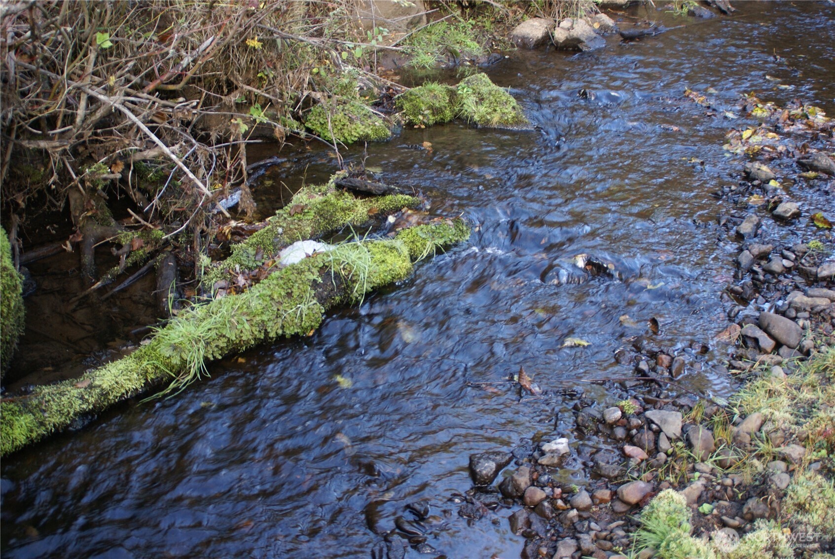 8 Ginger Way Goldendale, WA 98620 - Photo 14 of 15 a plant with lots of plants and trees