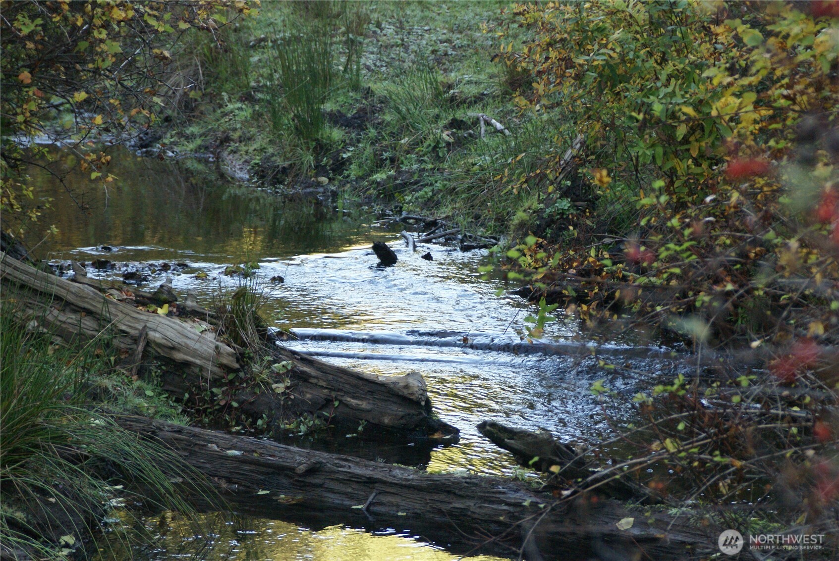 8 Ginger Way Goldendale, WA 98620 - Photo 3 of 15 a view of a backyard of a house