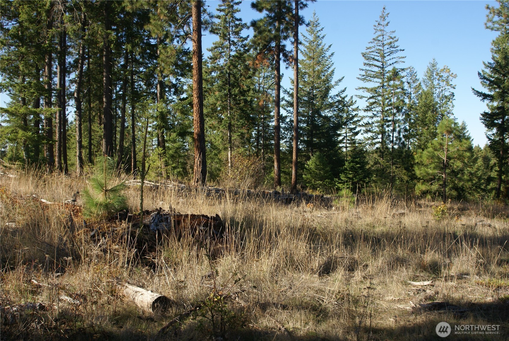 8 Ginger Way Goldendale, WA 98620 - Photo 4 of 15