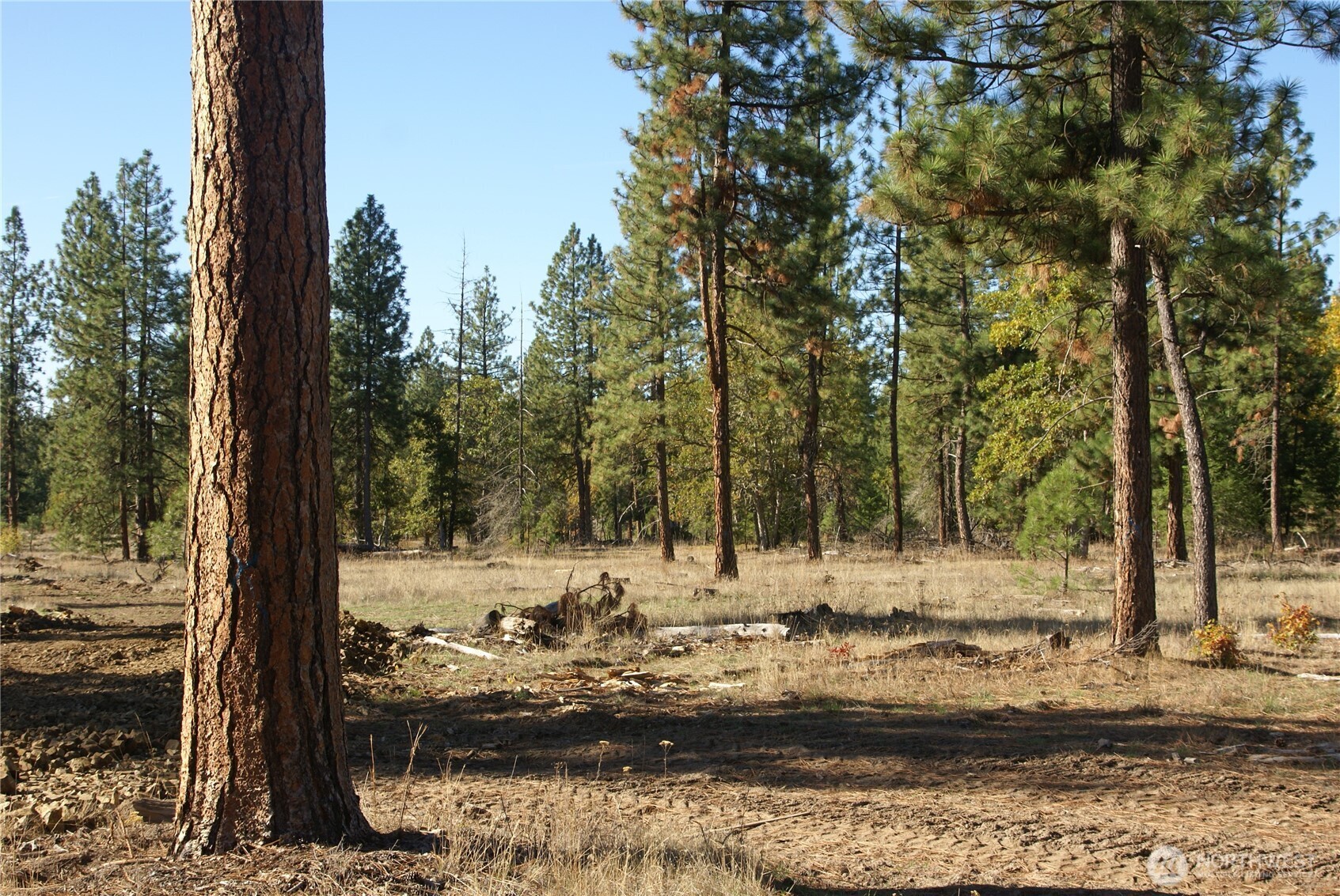 8 Ginger Way Goldendale, WA 98620 - Photo 9 of 15 a view of a lake with a tree