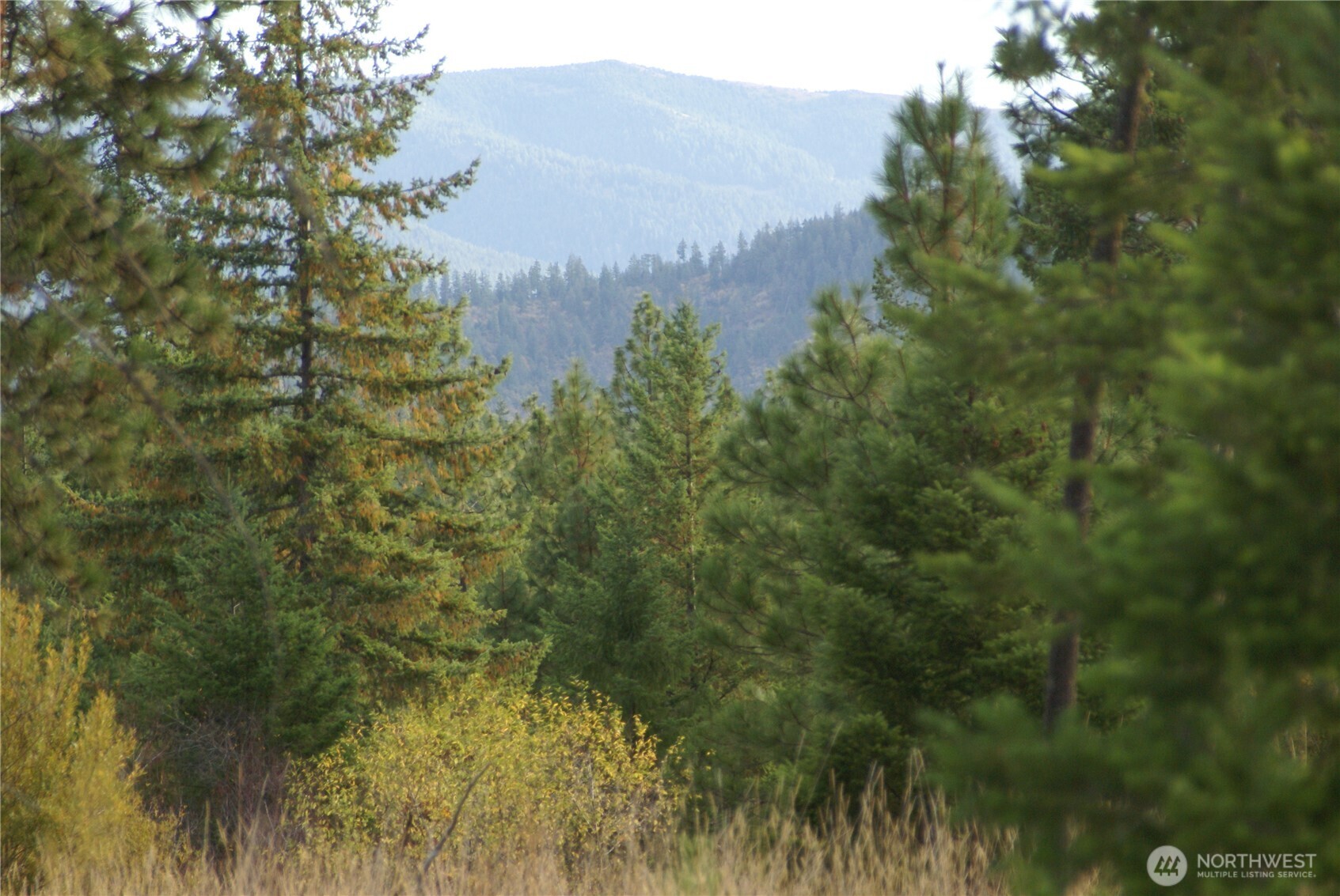 8 Ginger Way Goldendale, WA 98620 - Photo 10 of 15 a view of a lake in middle of the forest