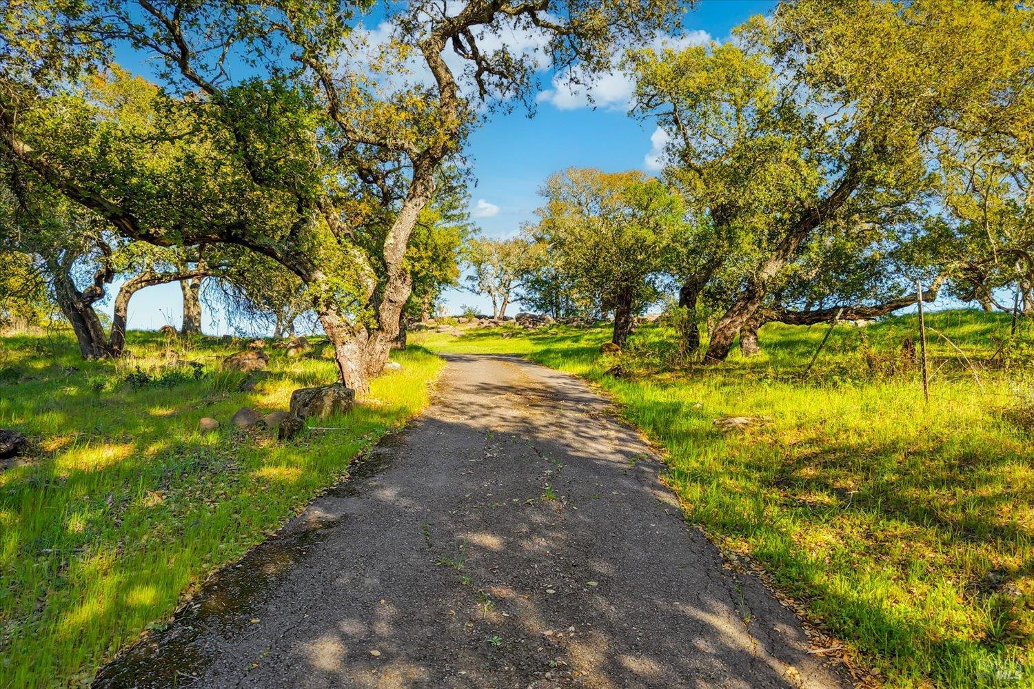 2355 Atlas Peak Road Napa, CA 94558 - Photo 6 of 24 Private driveway and entry