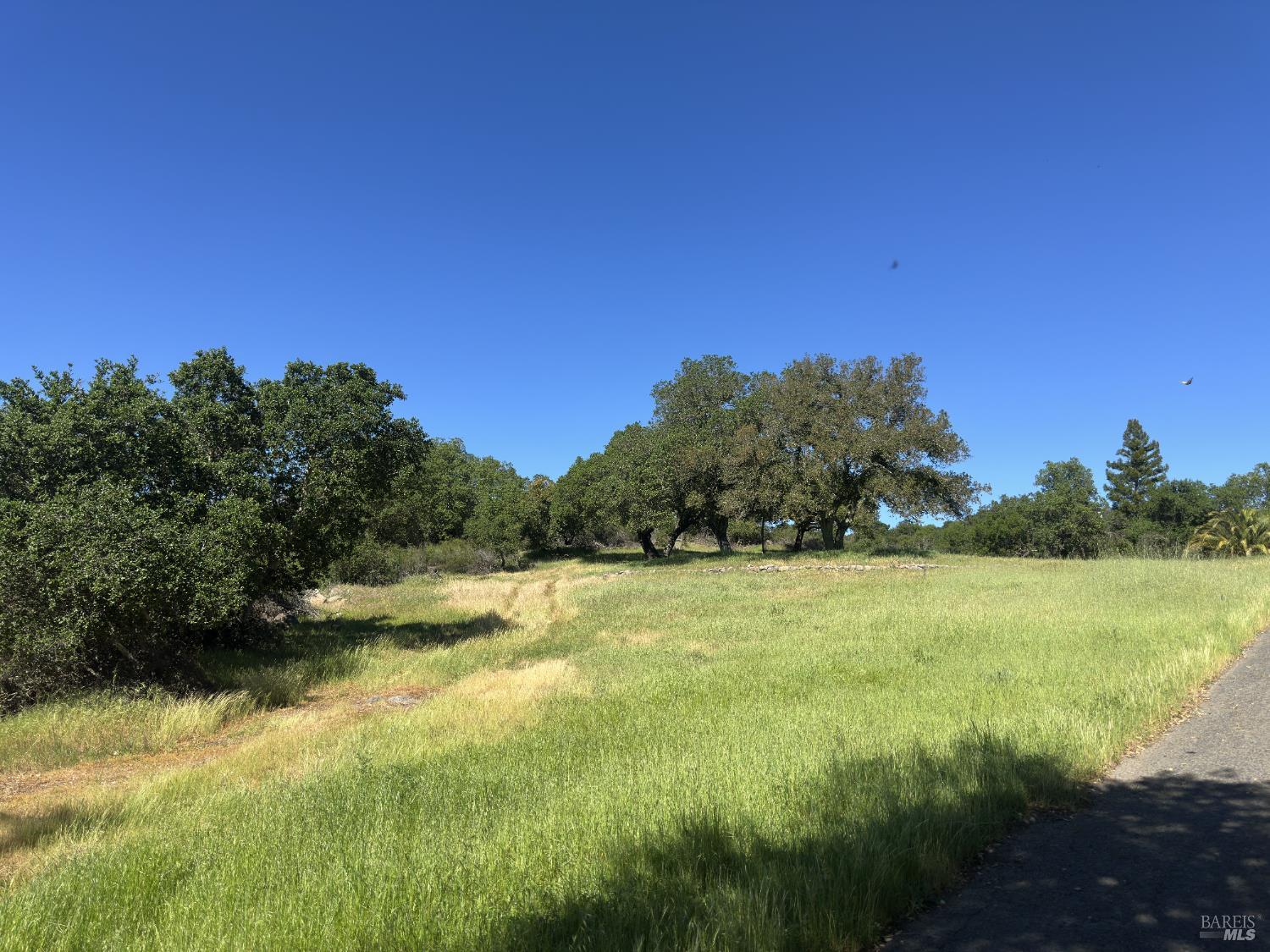 2355 Atlas Peak Road Napa, CA 94558 - Photo 7 of 24 Bucolic meadow at the top of the entry driv