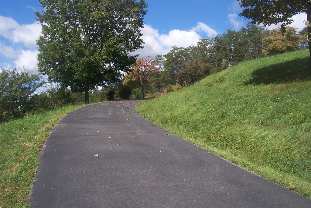 103 McCarter Hollow Road Sevierville, TN 37862 - Photo 3 of 26 Gallery Image 3